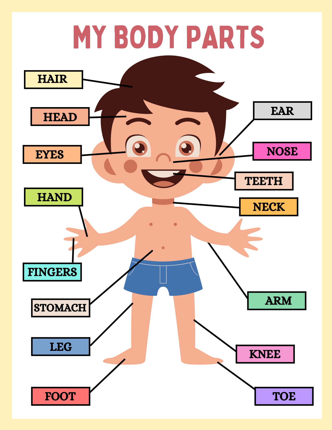 HUMAN ANATOMY Sample_page-0001